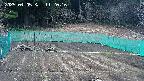kannonmori-20250405112018.jpg