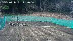 kannonmori-20250405113017.jpg