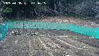 kannonmori-20250405114017.jpg