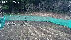 kannonmori-20250405121017.jpg
