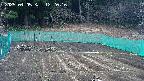 kannonmori-20250405122018.jpg