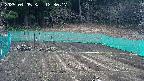kannonmori-20250405123018.jpg
