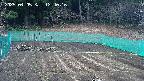 kannonmori-20250405124017.jpg