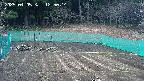 kannonmori-20250405125016.jpg