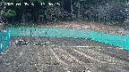 kannonmori-20250405130017.jpg
