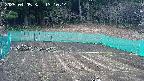 kannonmori-20250405131015.jpg