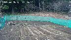 kannonmori-20250405132016.jpg