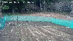 kannonmori-20250405133018.jpg