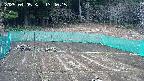 kannonmori-20250405134017.jpg