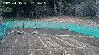 kannonmori-20250405135016.jpg