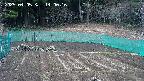 kannonmori-20250405140017.jpg