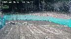 kannonmori-20250405141017.jpg