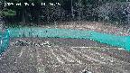kannonmori-20250405142016.jpg