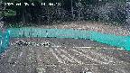 kannonmori-20250405143019.jpg