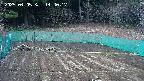 kannonmori-20250405144018.jpg
