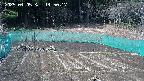 kannonmori-20250405145018.jpg