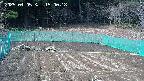 kannonmori-20250405150018.jpg