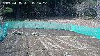 kannonmori-20250405151018.jpg