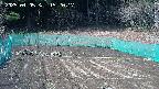 kannonmori-20250405152018.jpg