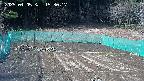 kannonmori-20250405153018.jpg
