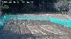 kannonmori-20250405154019.jpg