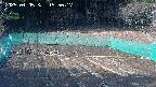 kannonmori-20250405155018.jpg