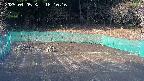 kannonmori-20250405161017.jpg