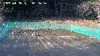 kannonmori-20250405162017.jpg
