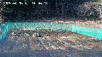 kannonmori-20250405163019.jpg