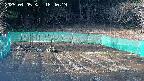 kannonmori-20250405164019.jpg