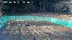 kannonmori-20250405165018.jpg