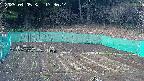 kannonmori-20250405173016.jpg