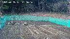 kannonmori-20250405174018.jpg