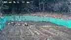 kannonmori-20250405175019.jpg