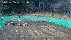 kannonmori-20250405180016.jpg
