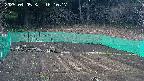 kannonmori-20250405181019.jpg