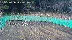 kannonmori-20250406053017.jpg