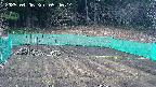 kannonmori-20250406054016.jpg