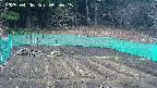 kannonmori-20250406055016.jpg