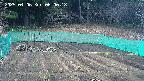 kannonmori-20250406060020.jpg