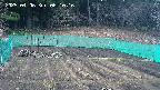 kannonmori-20250406061018.jpg