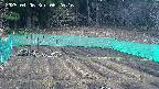 kannonmori-20250406062018.jpg