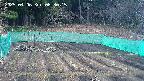 kannonmori-20250406063017.jpg