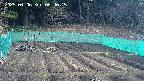 kannonmori-20250406064016.jpg