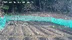 kannonmori-20250406065017.jpg