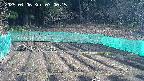 kannonmori-20250406070017.jpg