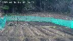 kannonmori-20250406071015.jpg