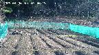 kannonmori-20250406073017.jpg