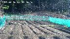 kannonmori-20250406074018.jpg