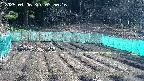 kannonmori-20250406075018.jpg